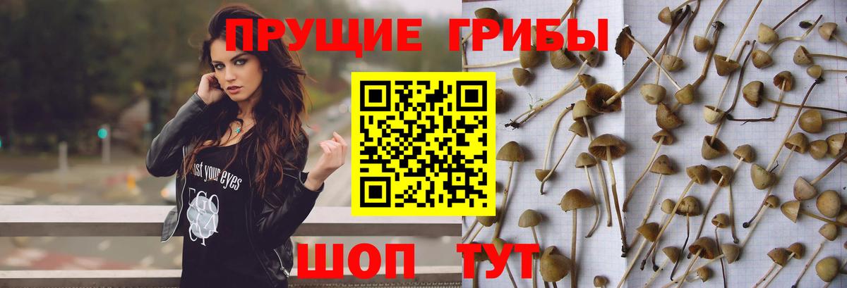 Галлюциногенные грибы MAGIC MUSHROOMS  Вход с VPN  Новый Уренгой 