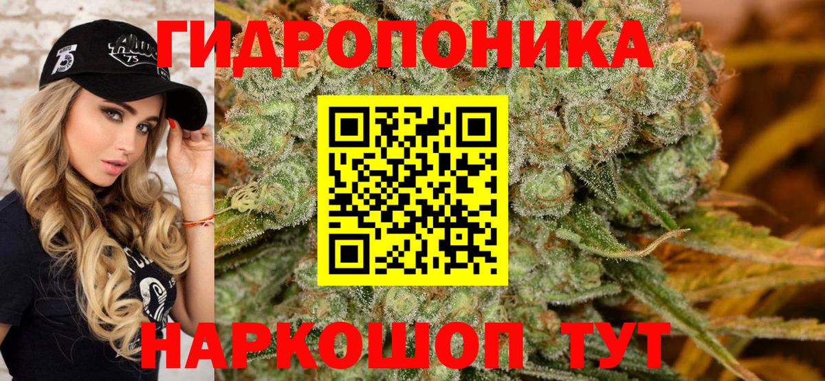 Бошки Шишки семена  Вход с VPN  Шишки марихуана MAZAR  Канабис MAZAR  Новый Уренгой 